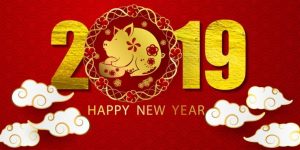 2019 Lunar New Year Gala