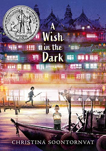 Book Cover: A Wish in the Dark