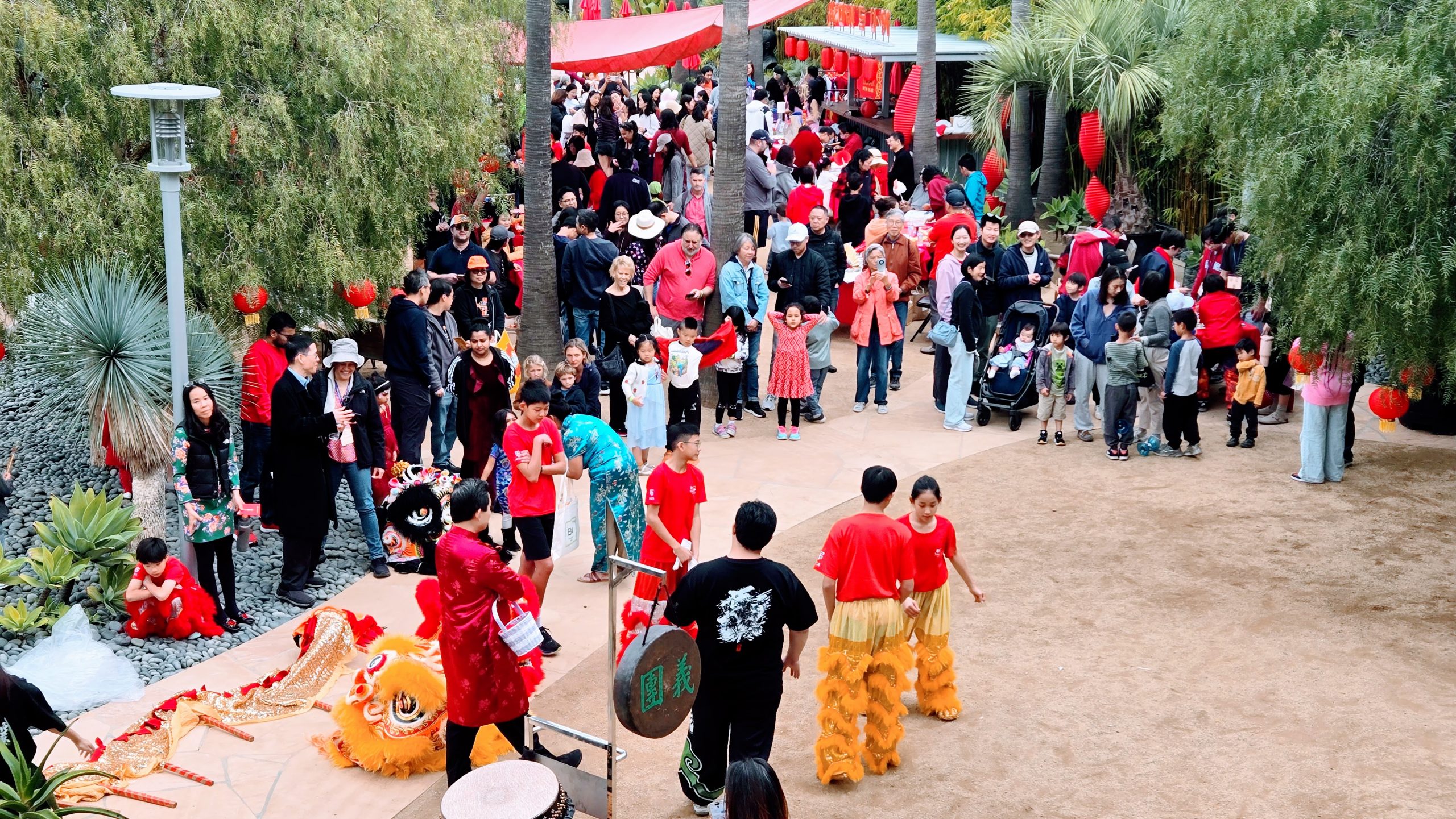 2026 Community Lunar New Year Celebration